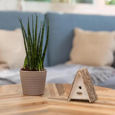 Apartmán Arielle Nr 1 *